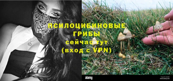 сатива Пенза