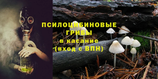 дмт Майский